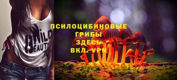 стаф Беломорск