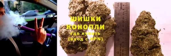 крисы Белокуриха